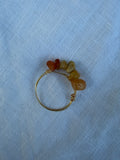 Terra Ring