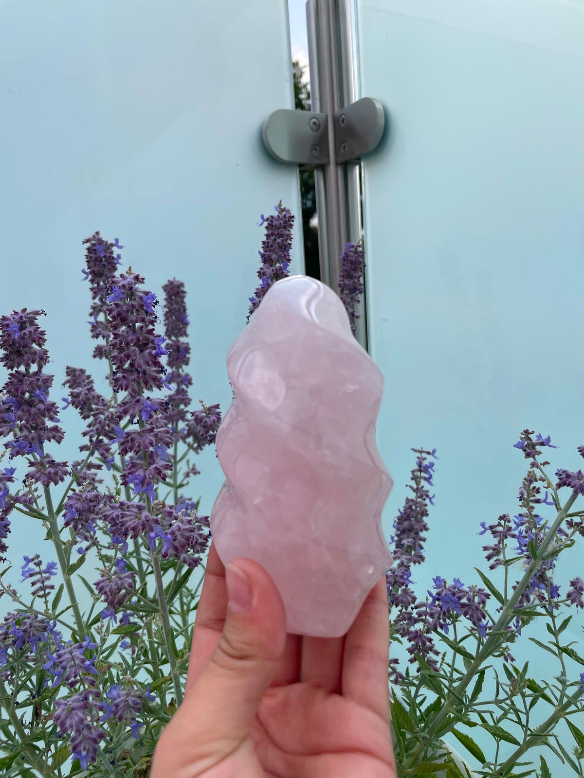 Die ewige Flamme Rosenquarz
