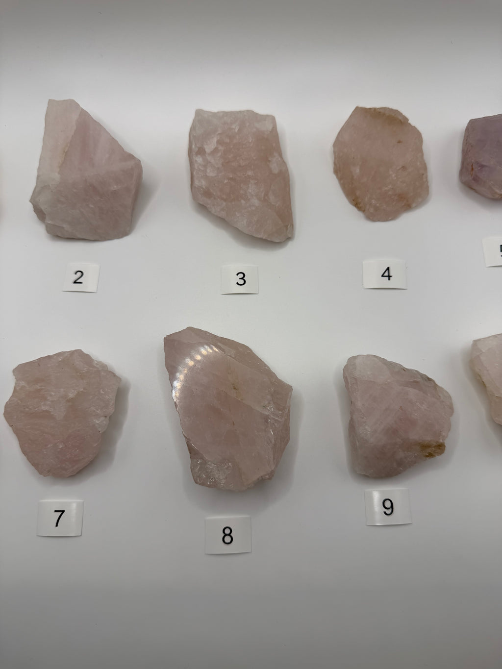 Halbpolierte Rosenquarze