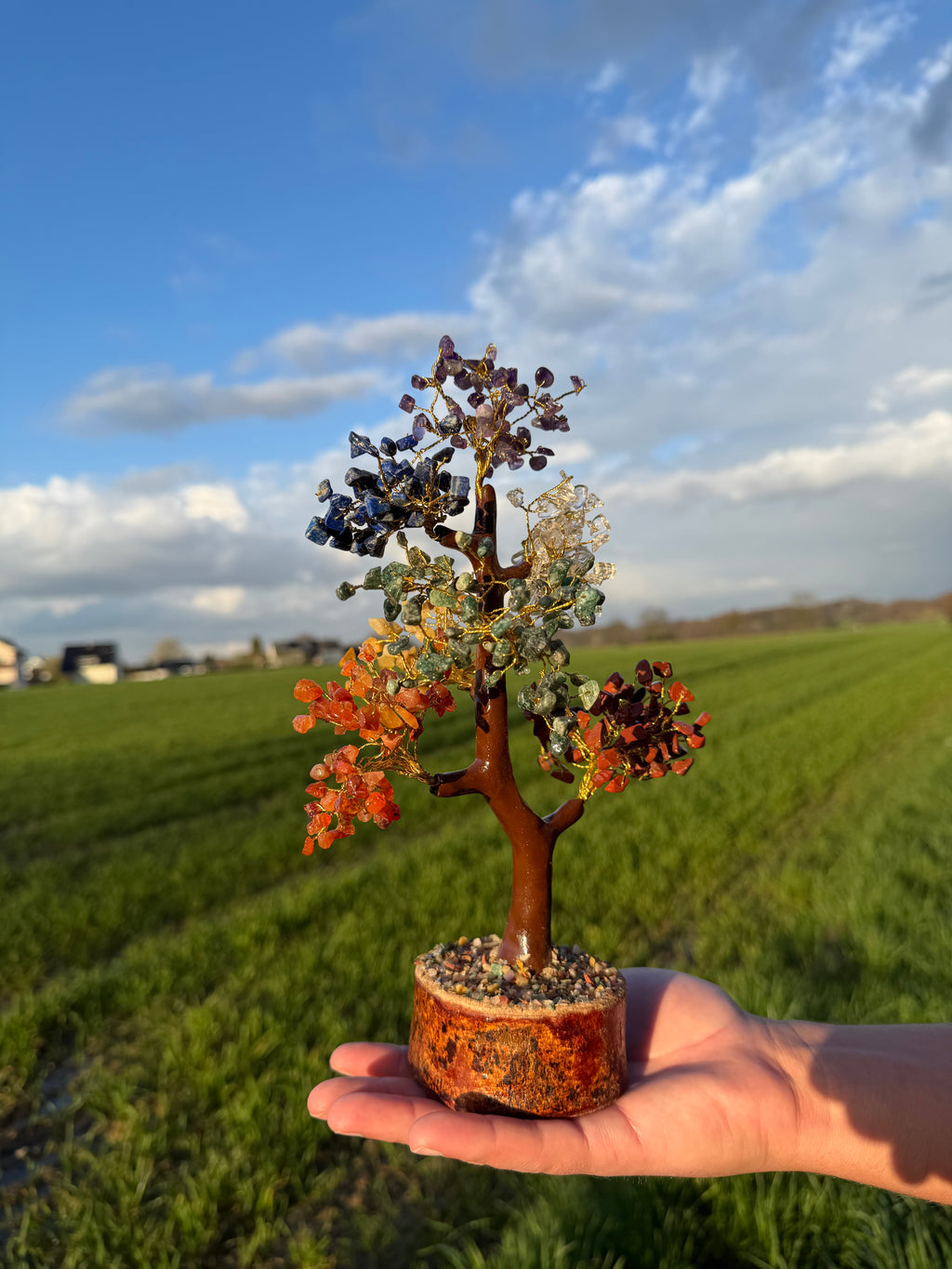 Chakrastein Baum